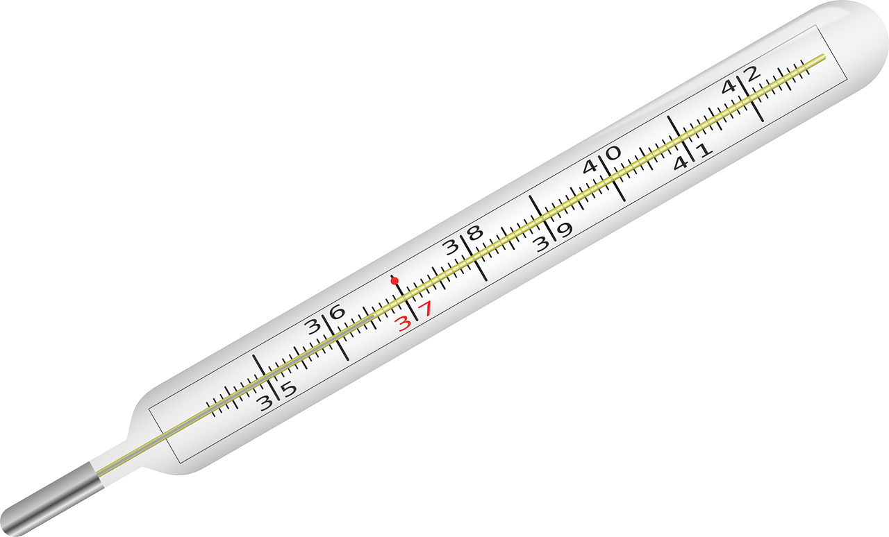 clinical thermometer fever thermometer free photo