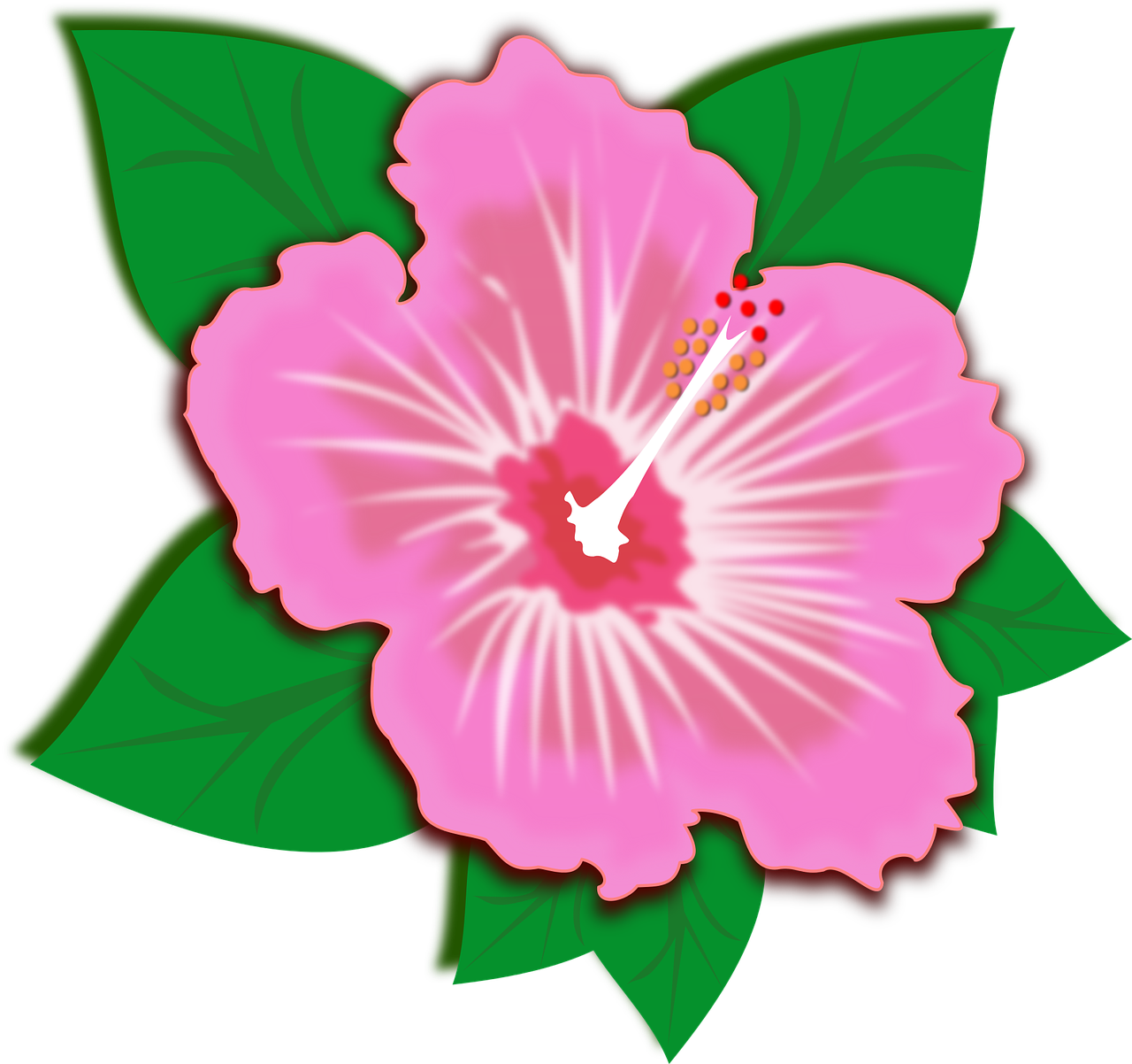 clip art flor flora free photo