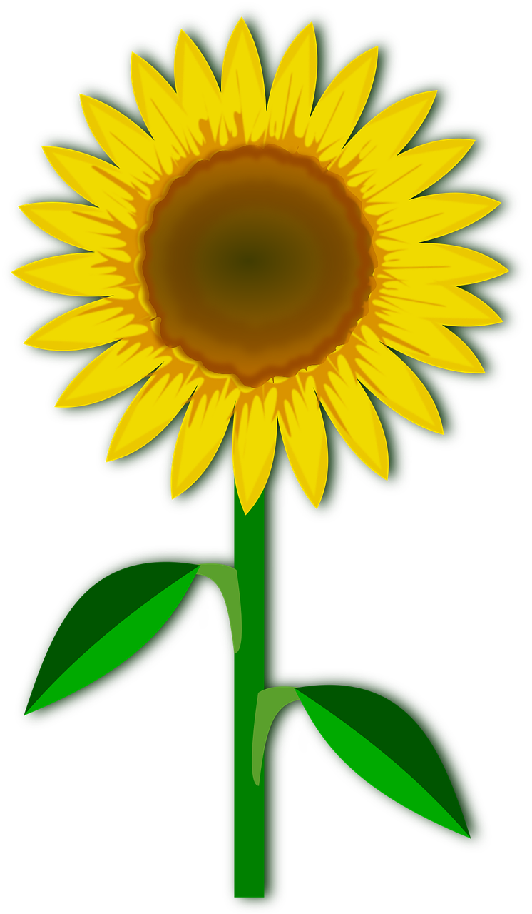 clip art flor flora free photo