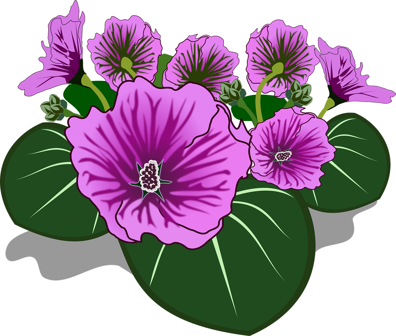 clip art flor flora free photo