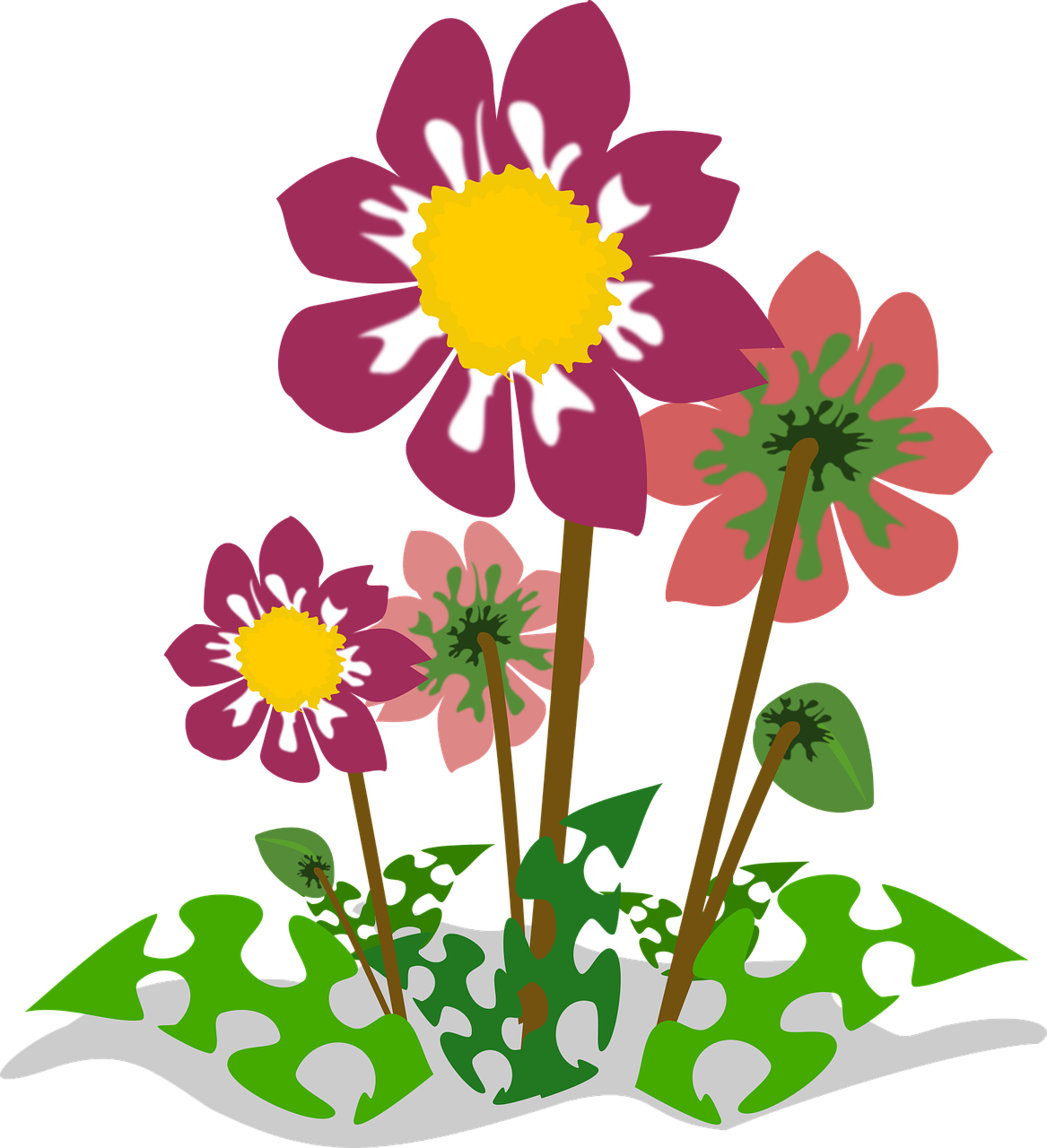 clip art flor flora free photo