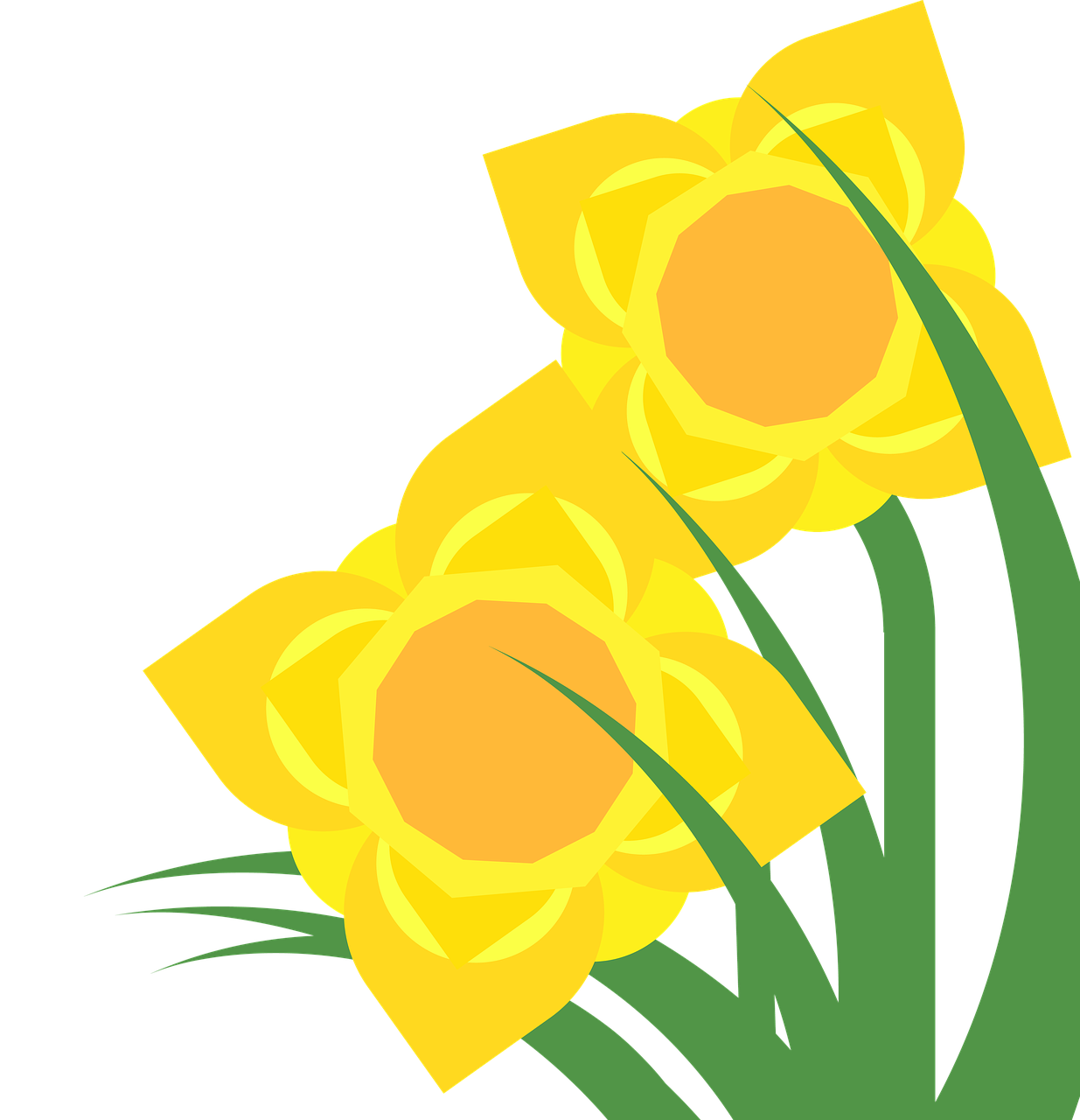 clipart daffodil narcissus free photo