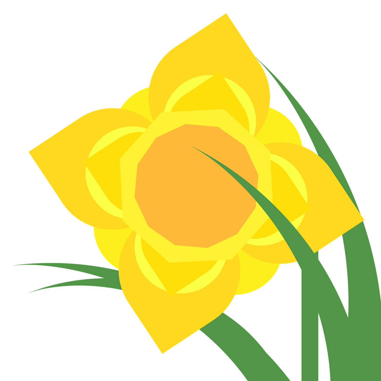 clipart daffodil narcissus free photo