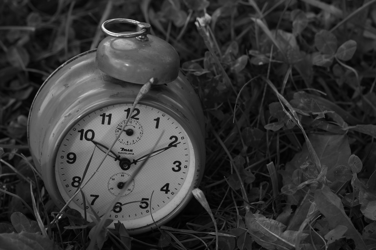 clock grass old free photo