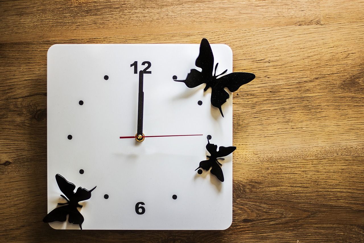 clock time butterflies free photo