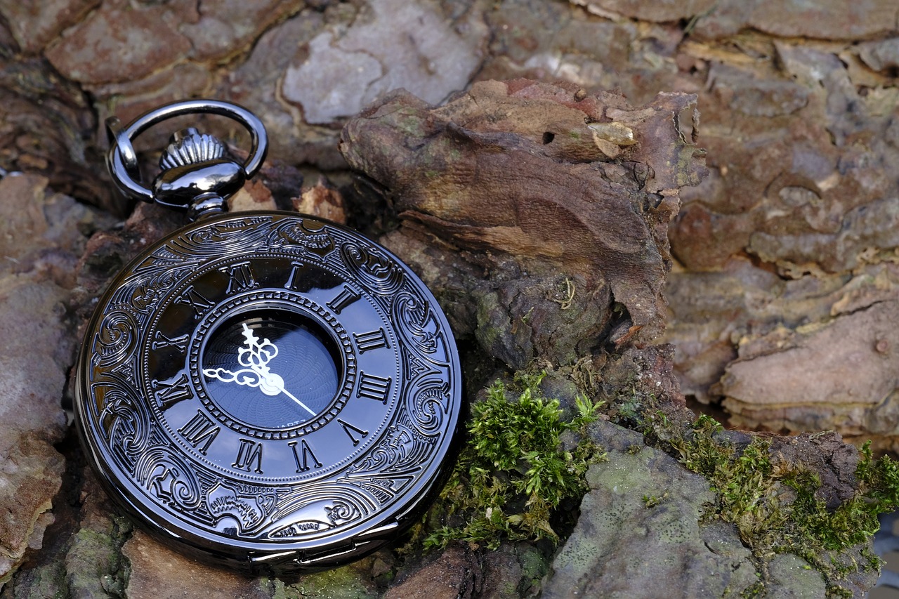 clock  pocket watch  time free photo