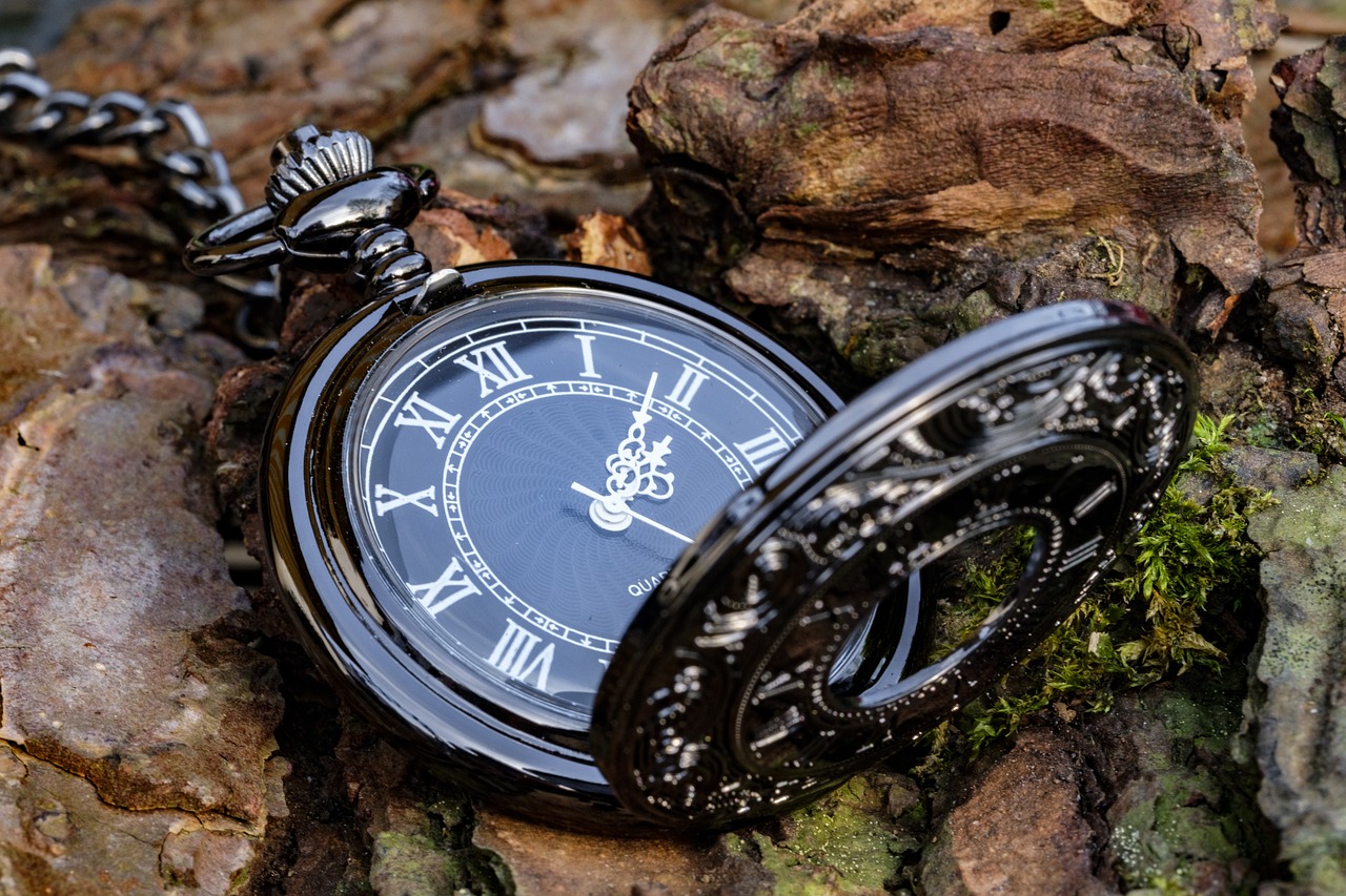 clock  pocket watch  time free photo