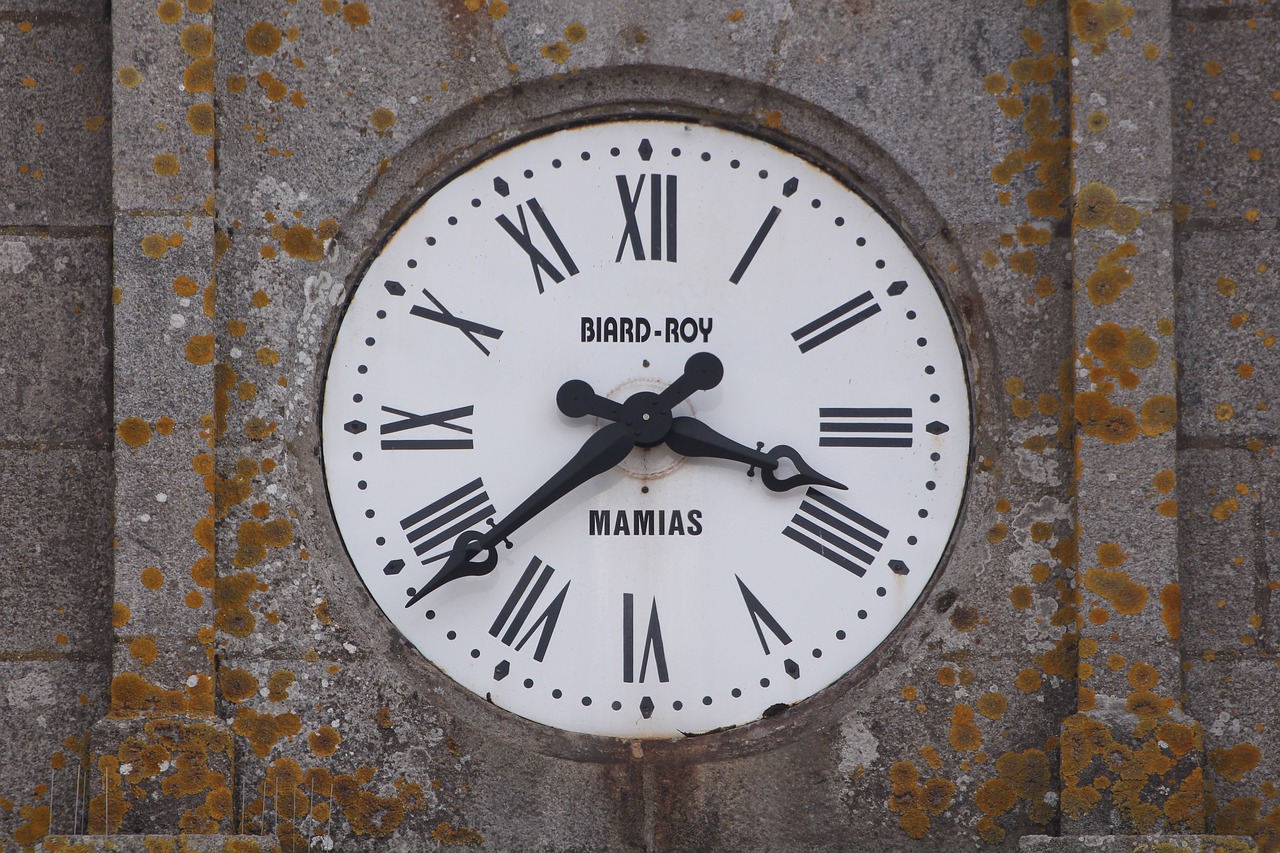 clock  time  dial free photo