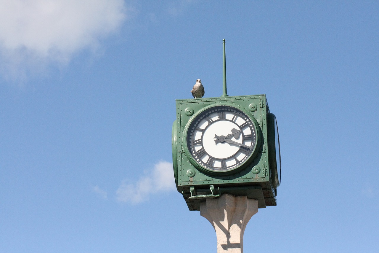 clock seabird sky free photo