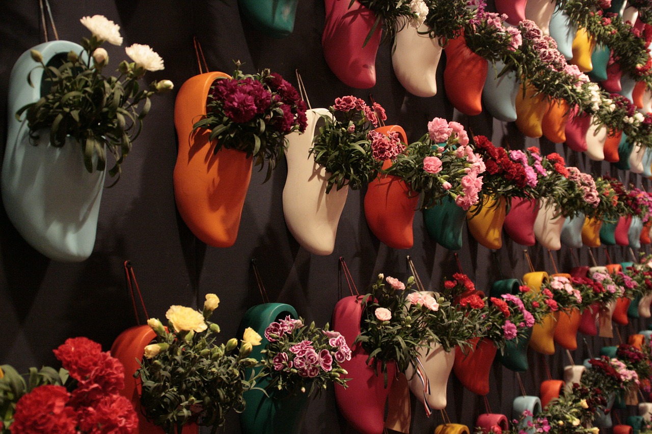 clogs flowers netherlands free photo