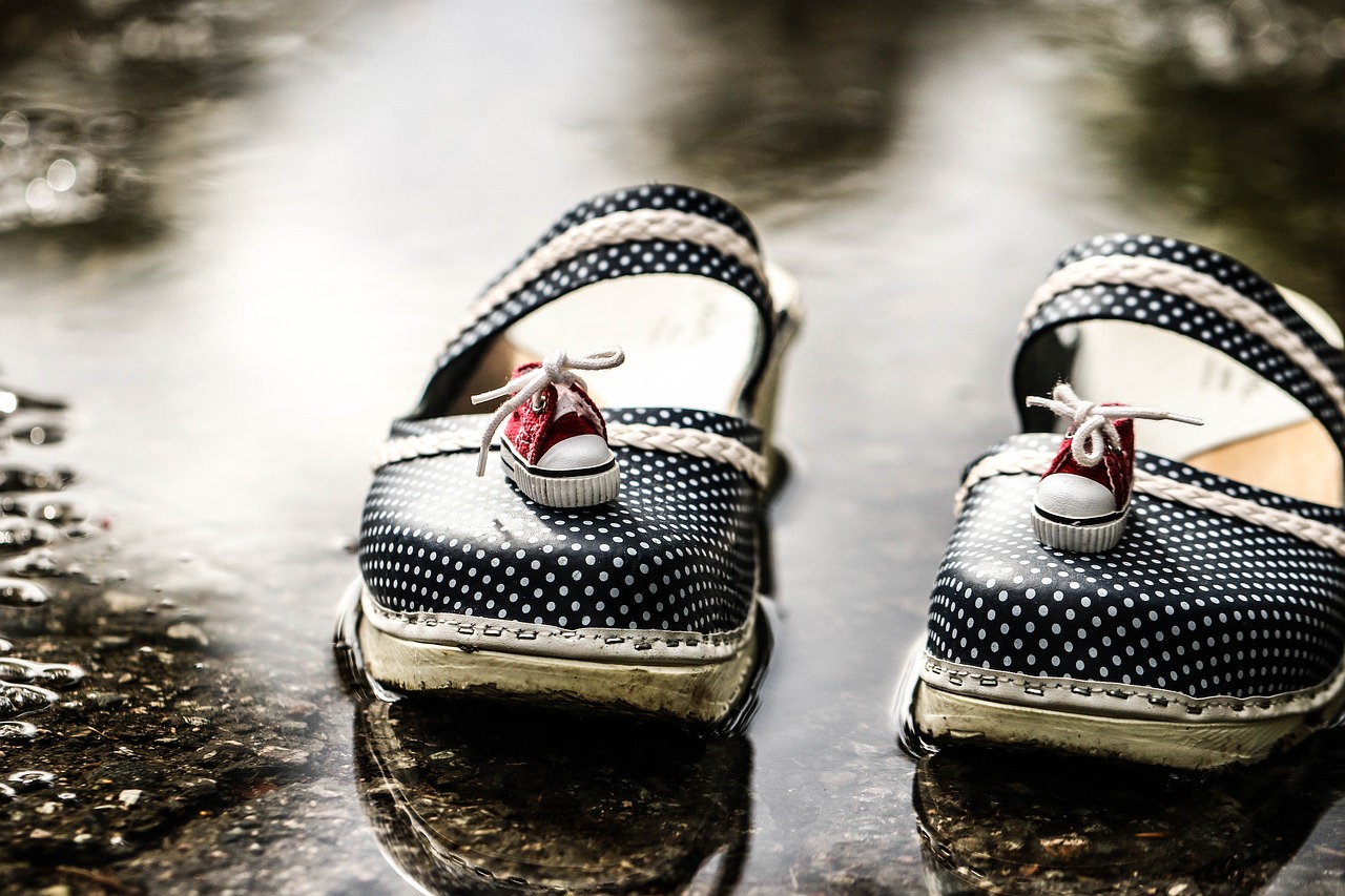 clogs puddle footwear free photo