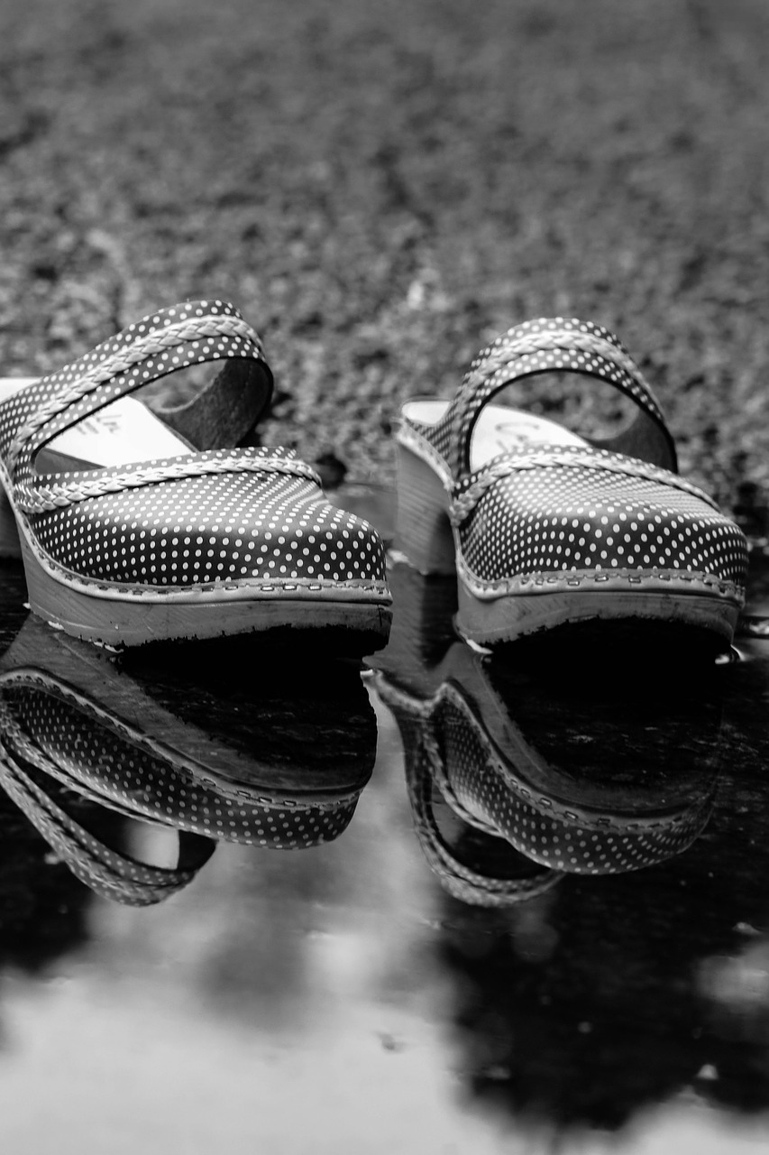 Download free photo of Clogs,shoes,footwear,pair,puddle - from needpix.com