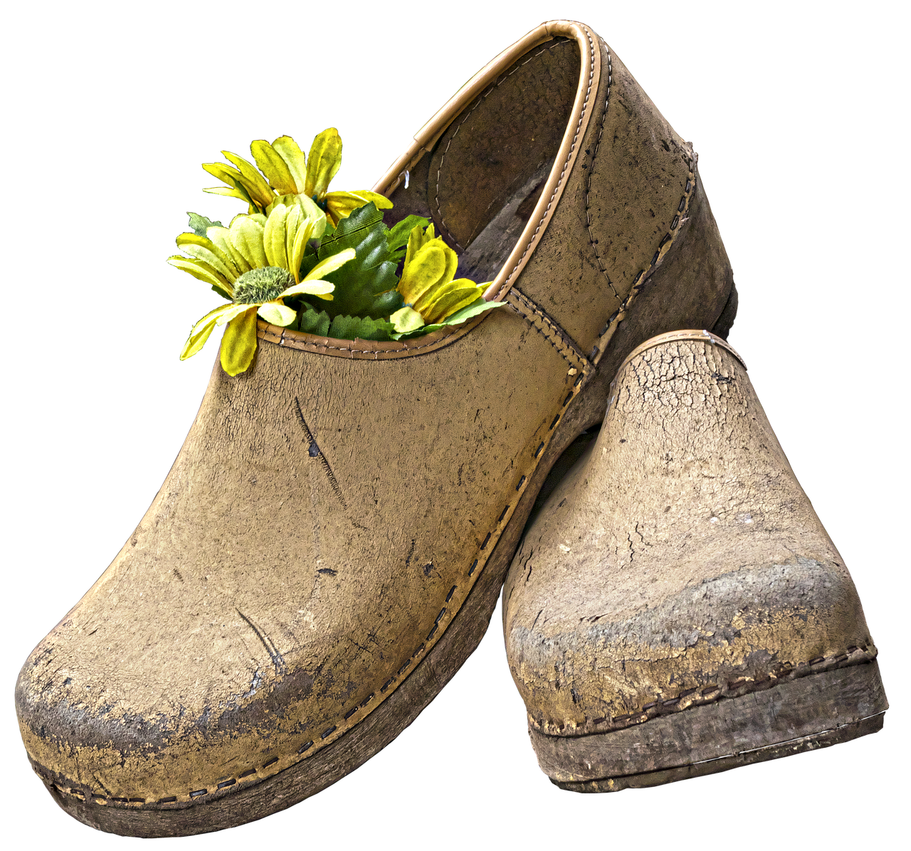 clogs shoes garden shoe free photo