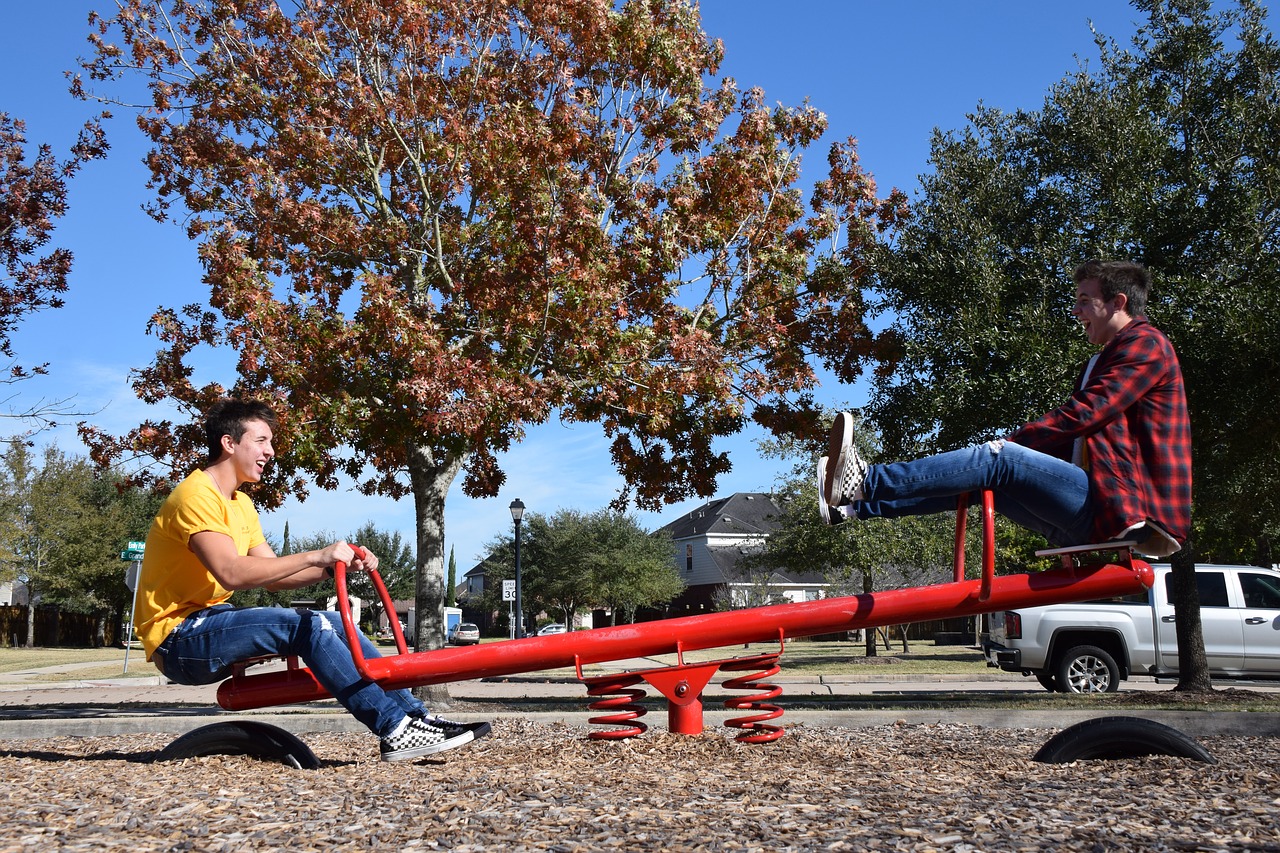 clone  seesaw  outdoors free photo