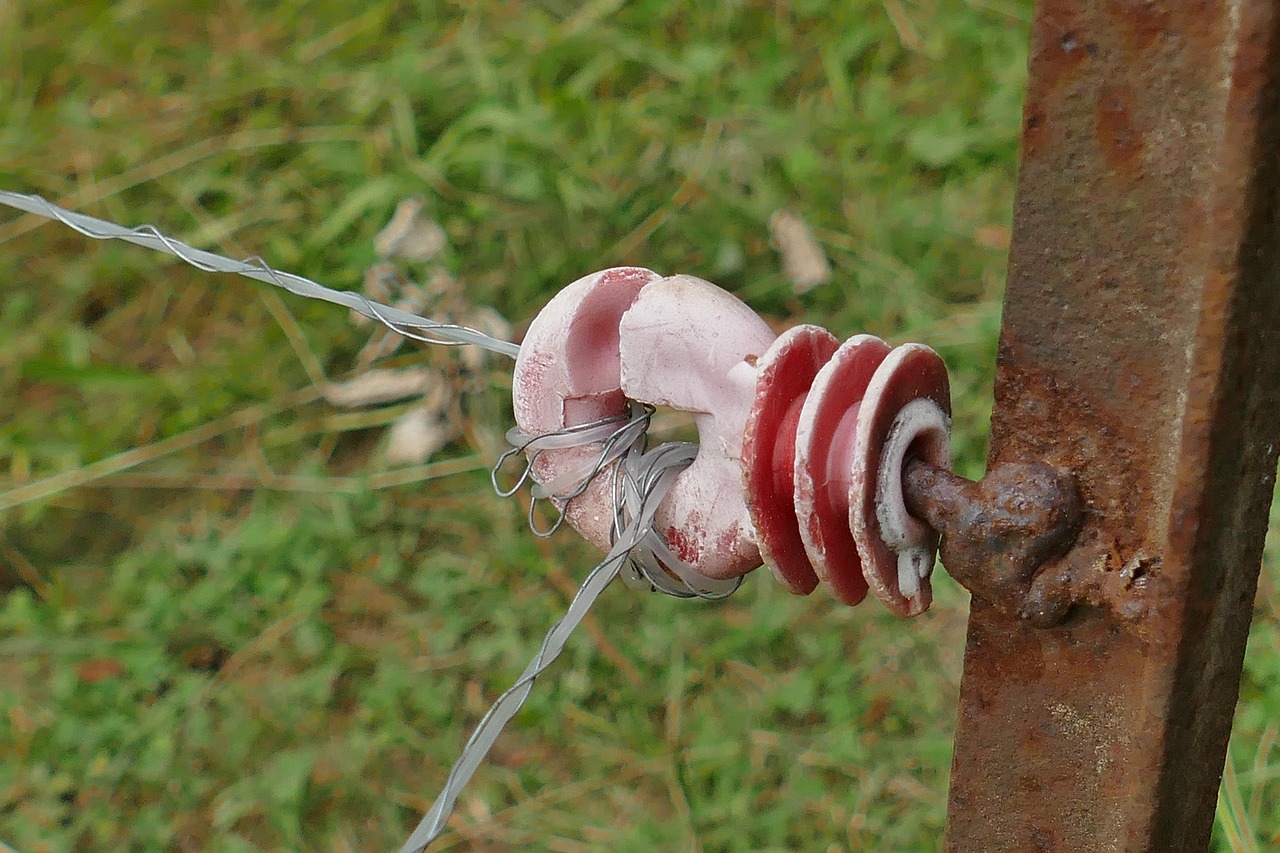 close gate electric fence free photo