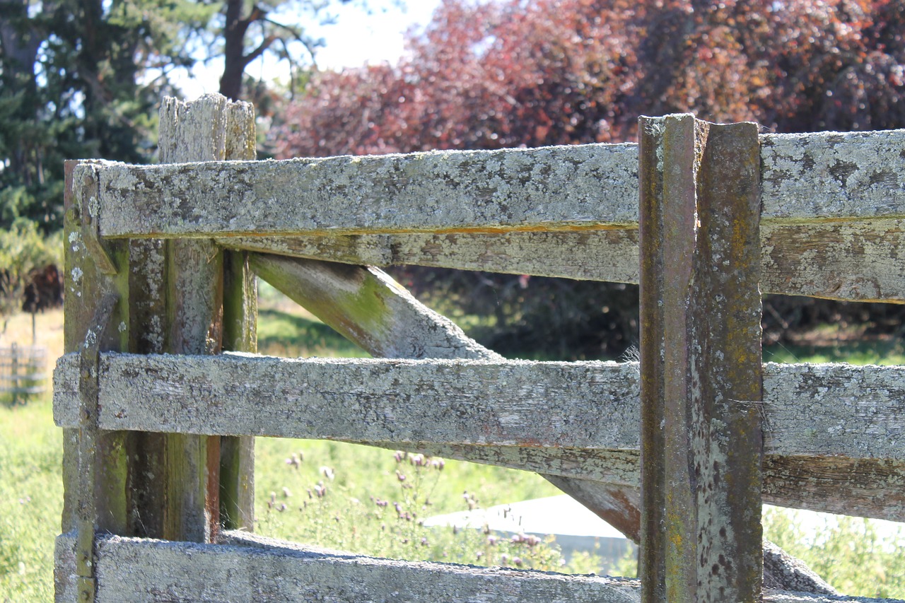 close gate wooden free photo