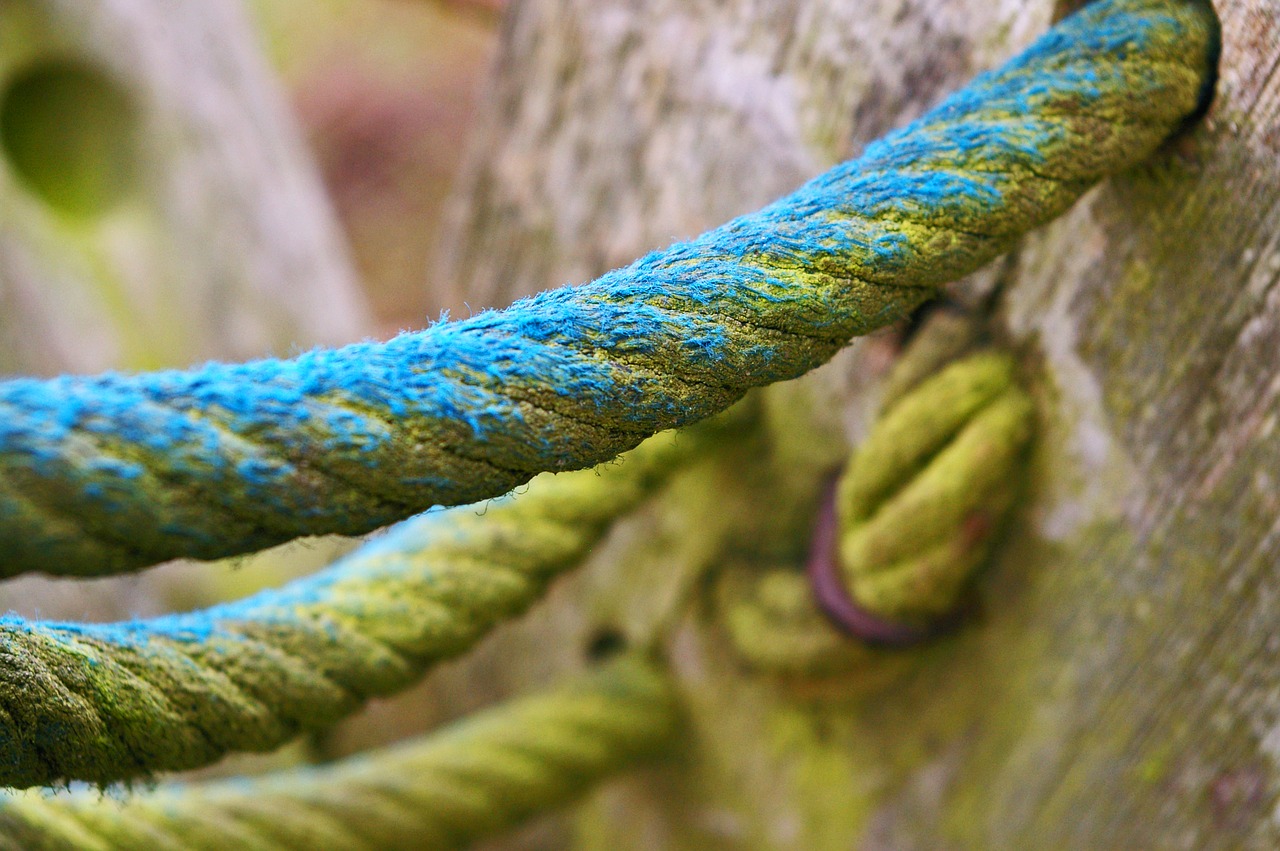 close rope klettergerüst free photo