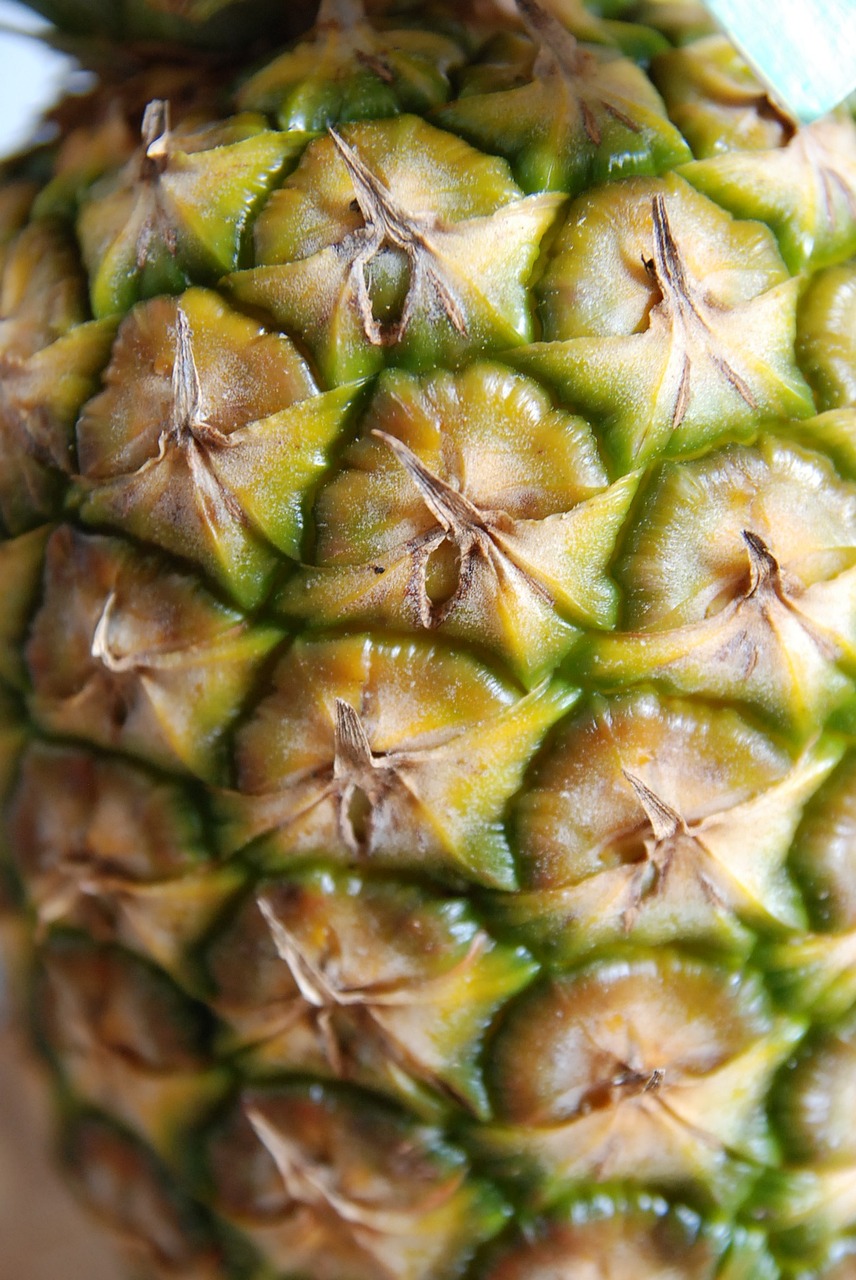 close up pineapple macro free photo