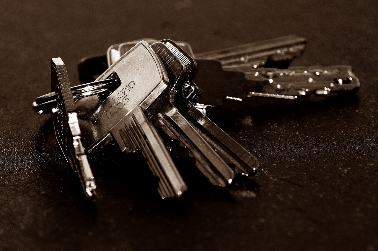 close-up keys macro free photo