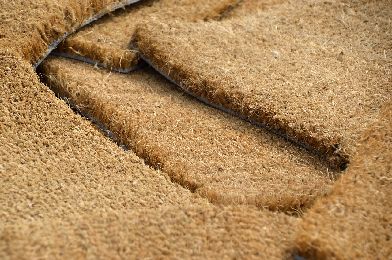 close up  outdoor  doormat free photo