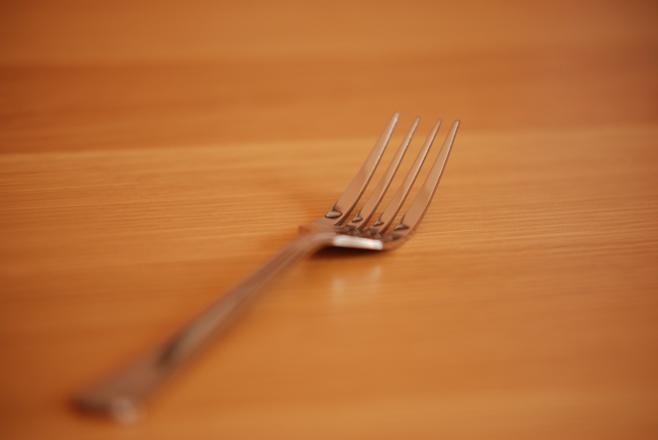 close up  fork  focused free photo