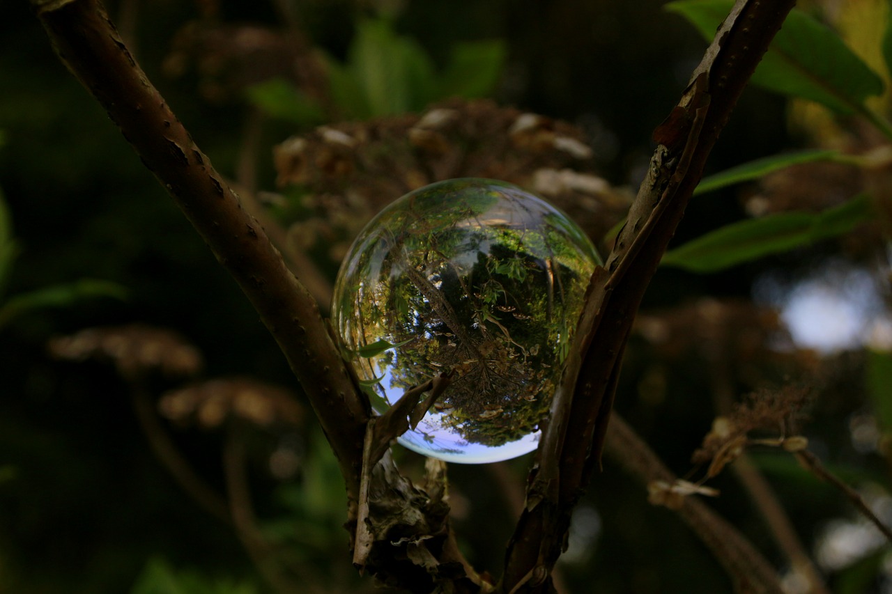 close up  glass ball  round free photo