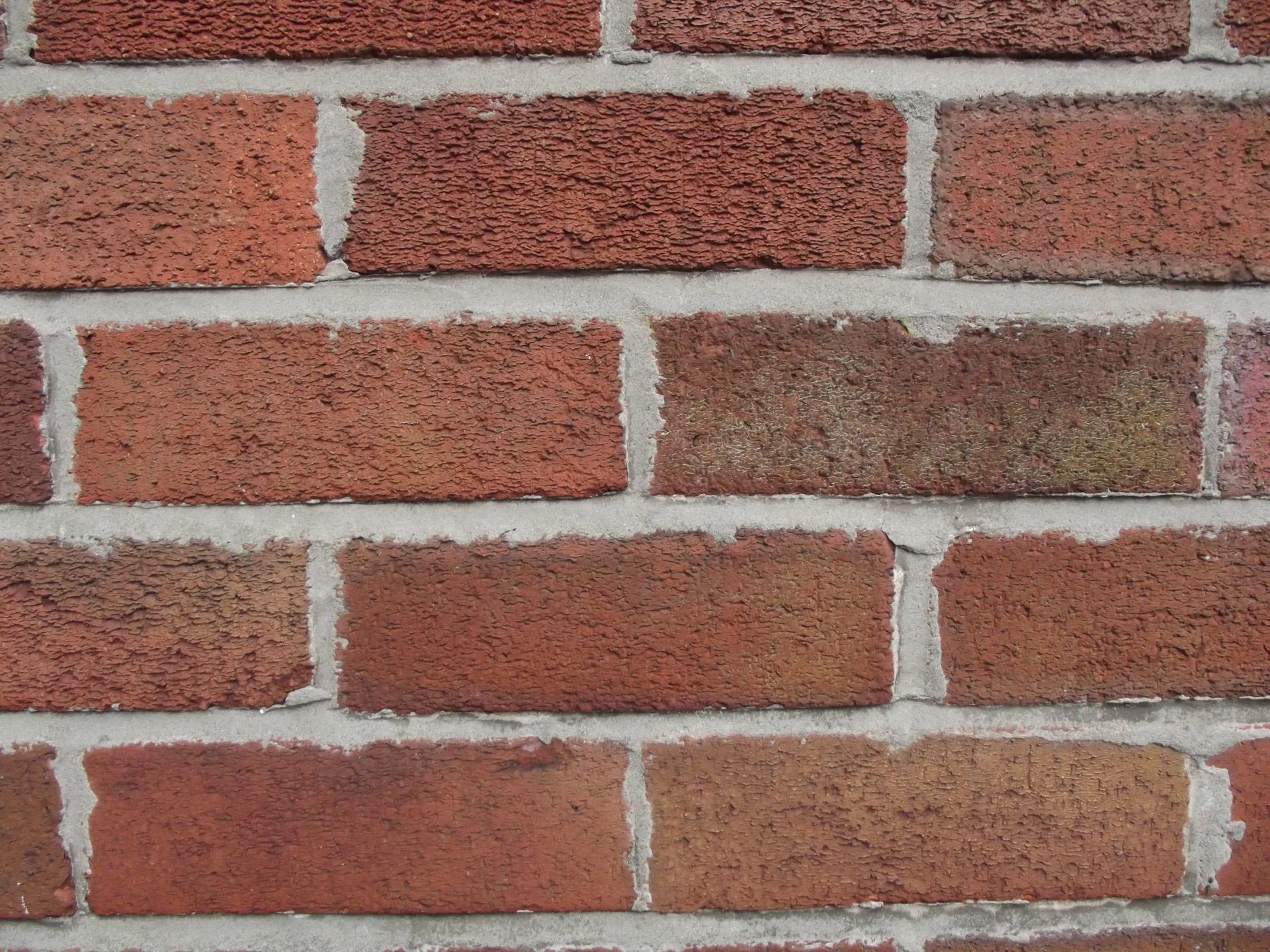 wall brick bricks free photo