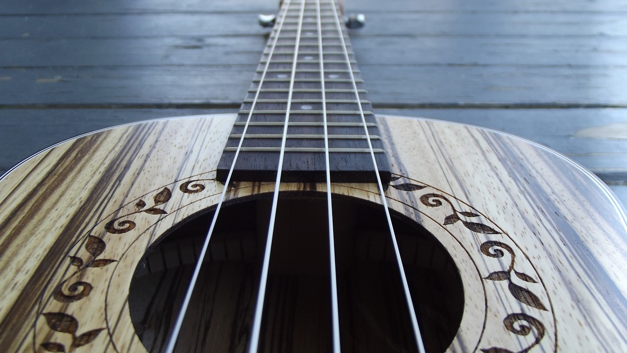 closeup ukulele music free photo