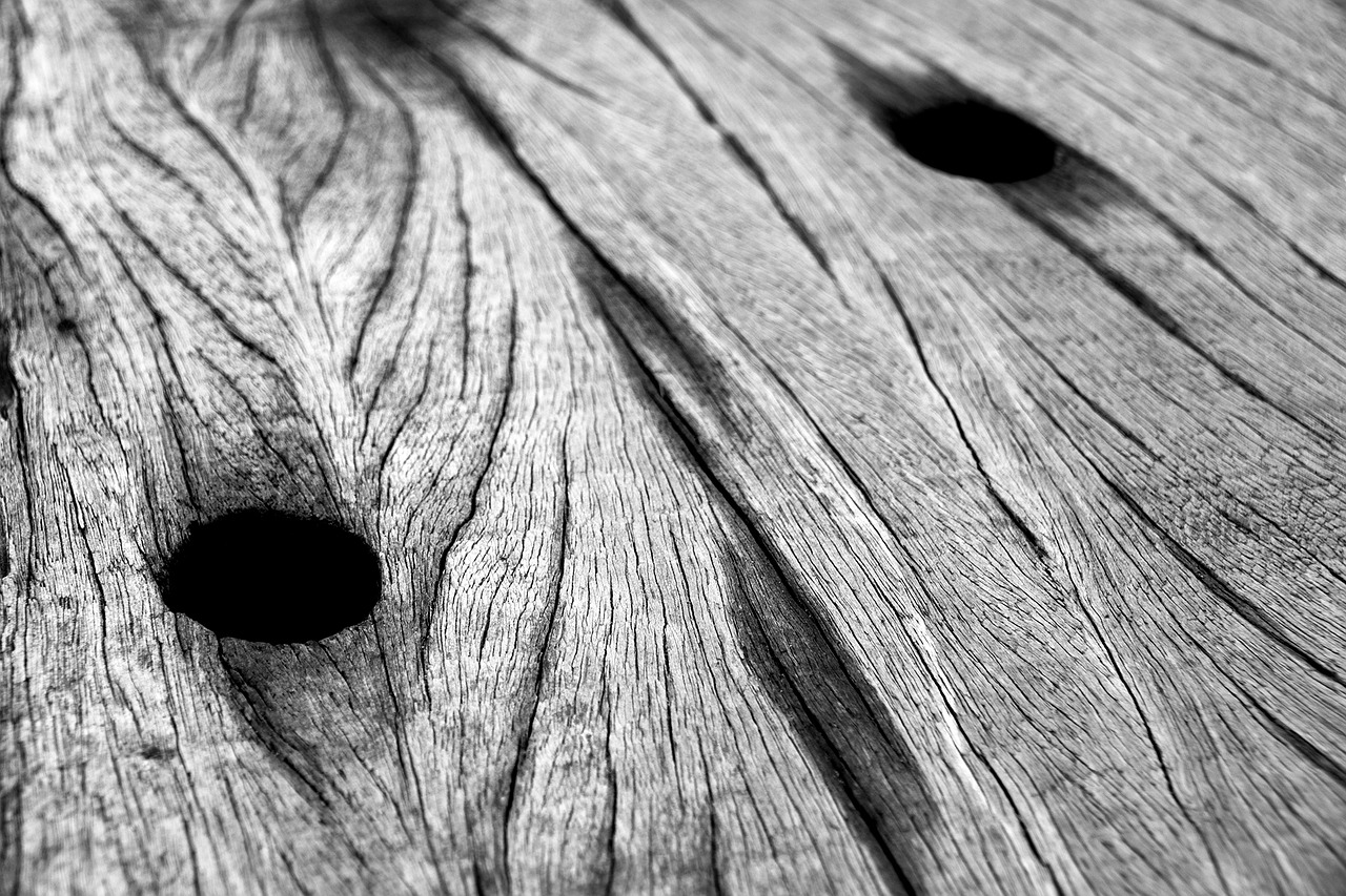 closeup black and white wooden free photo