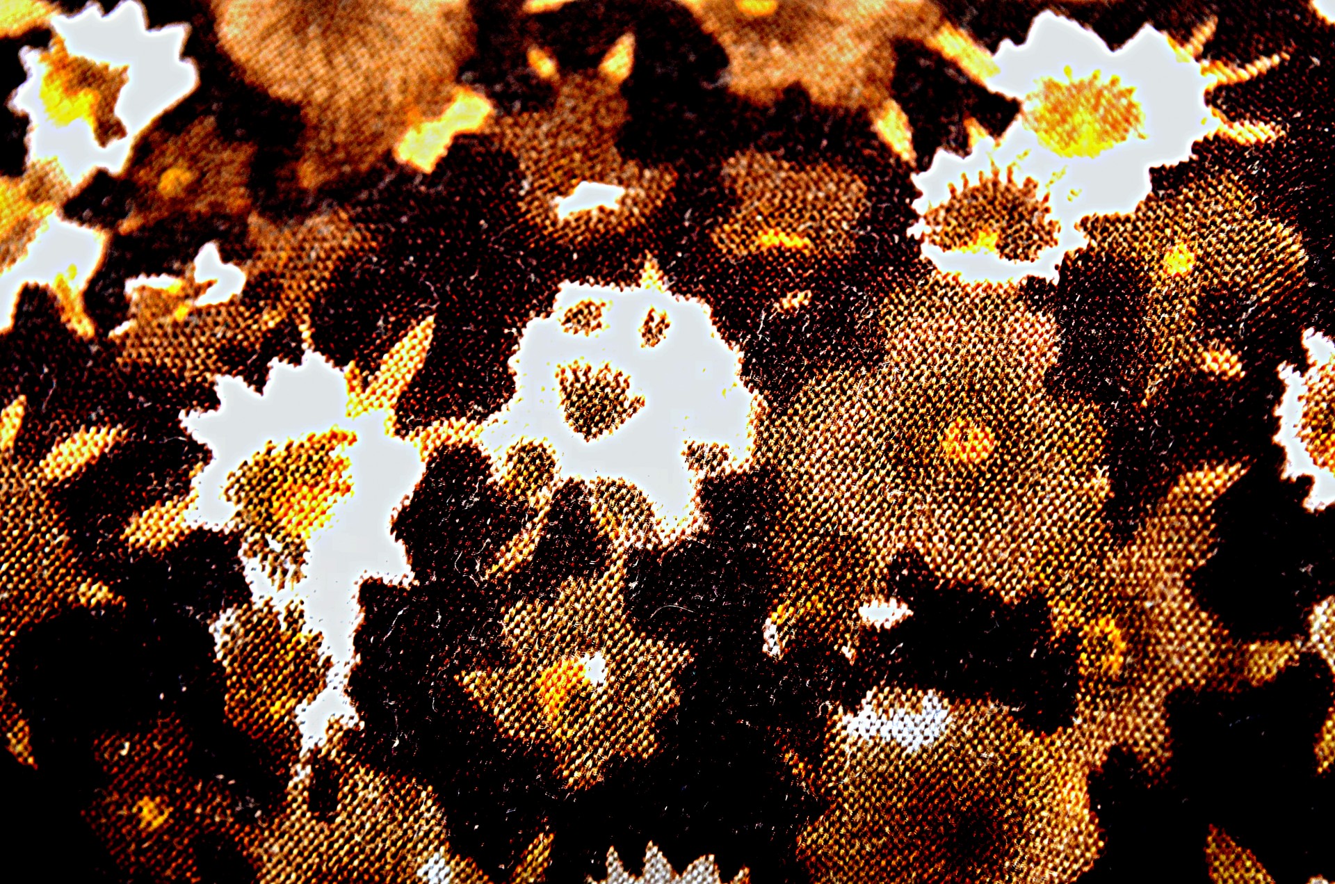 cloth background pattern free photo