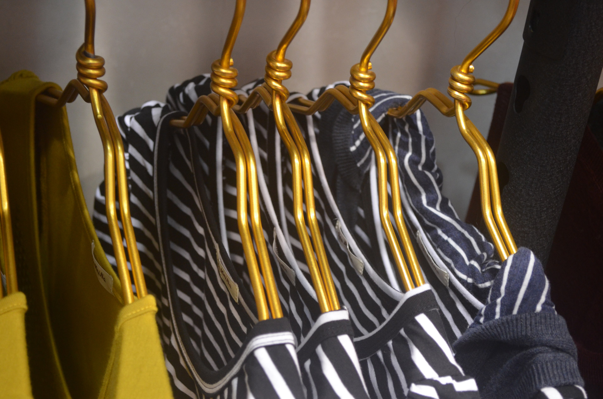 hanger hangers clothes free photo