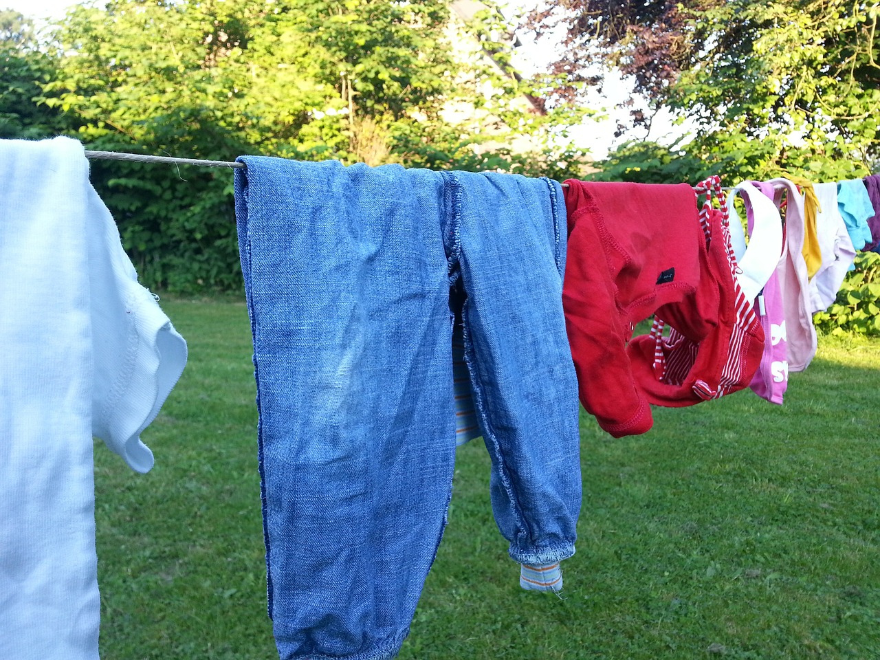 clothes line laundry wash free photo