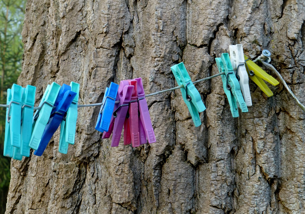 clothes line washing brackets tree free photo