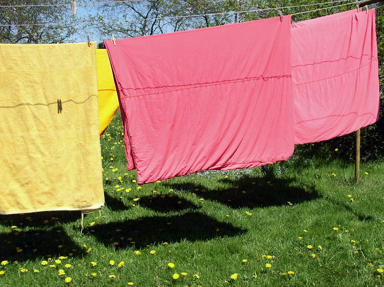 clothes line laundry meadow free photo