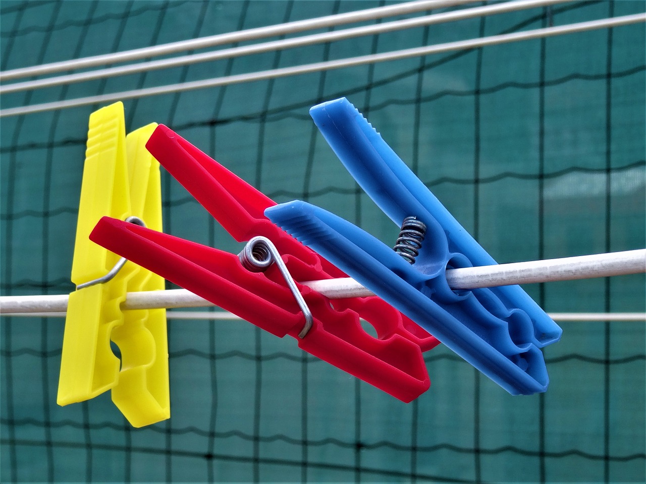 clothes peg leash color free photo