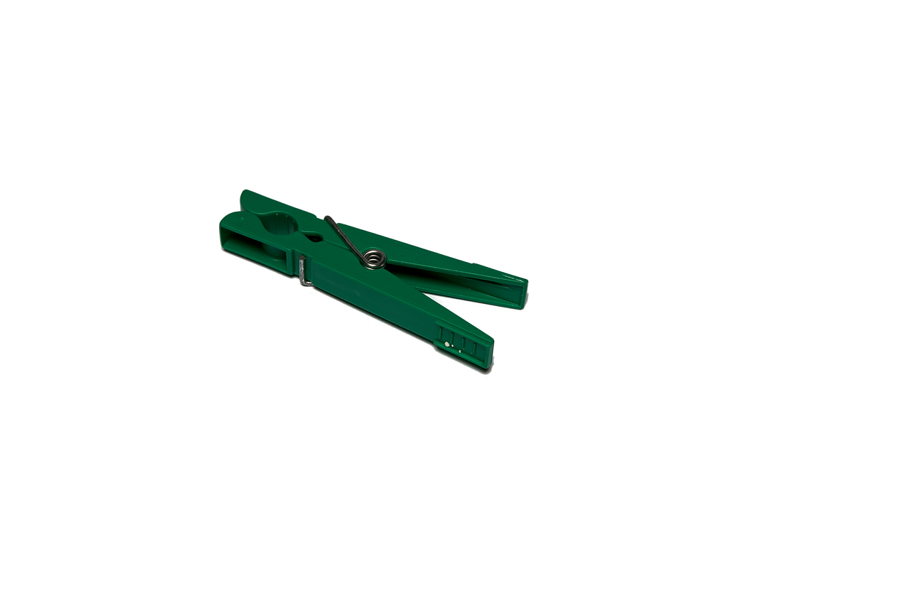 clothes peg isolated green free photo