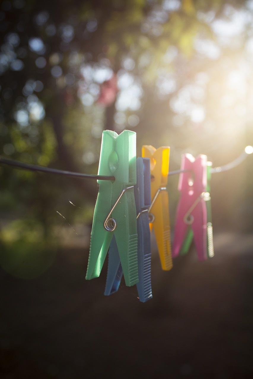 clothes-pegs colorful colourful free photo
