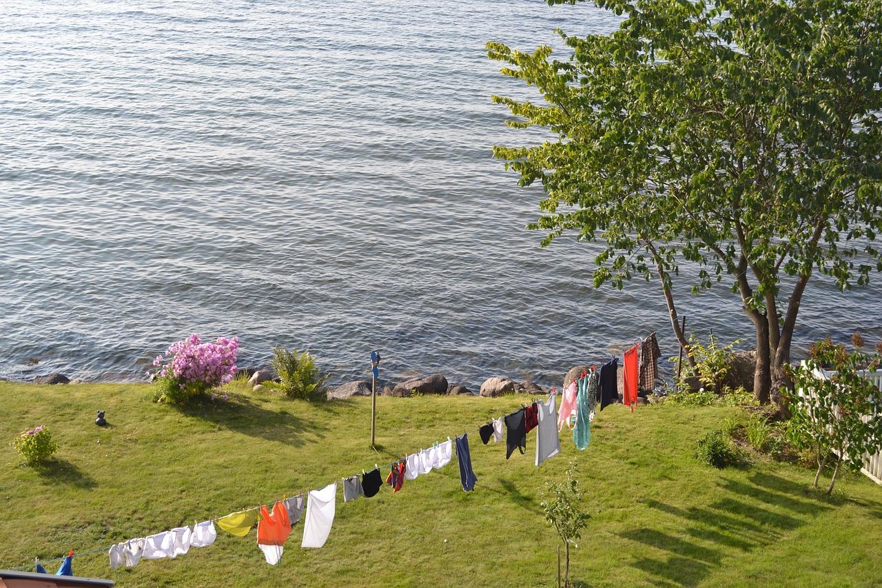 clothesline washing summer free photo