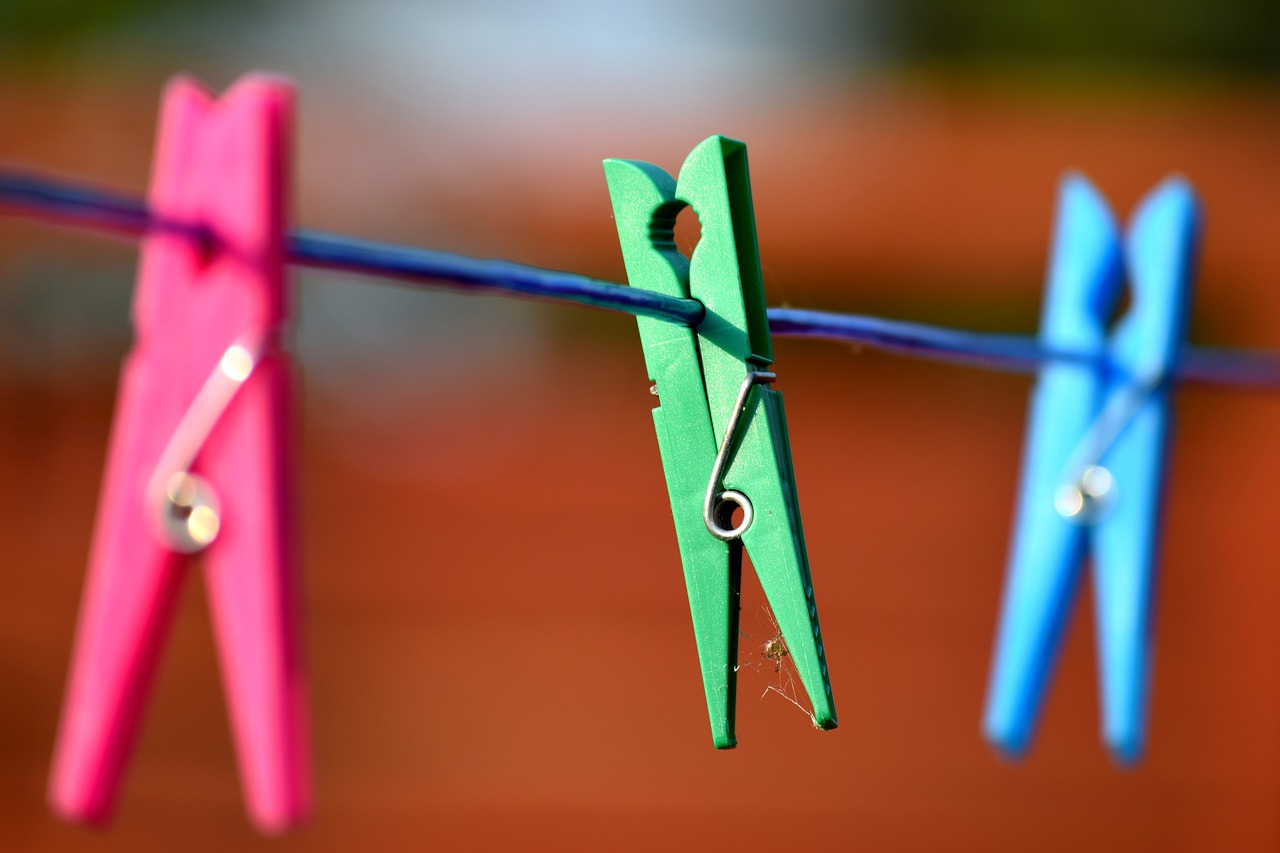 clothespin  tweezers  dryer free photo