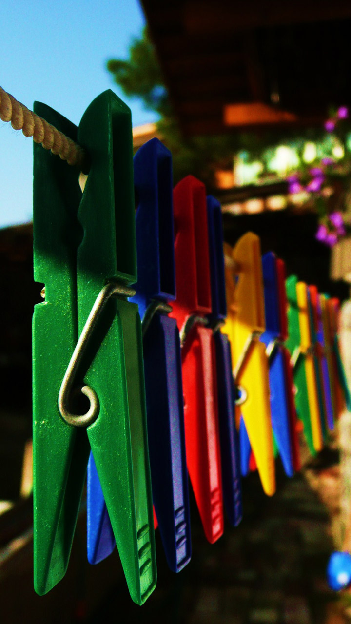 clothespins colored clothespins free photo