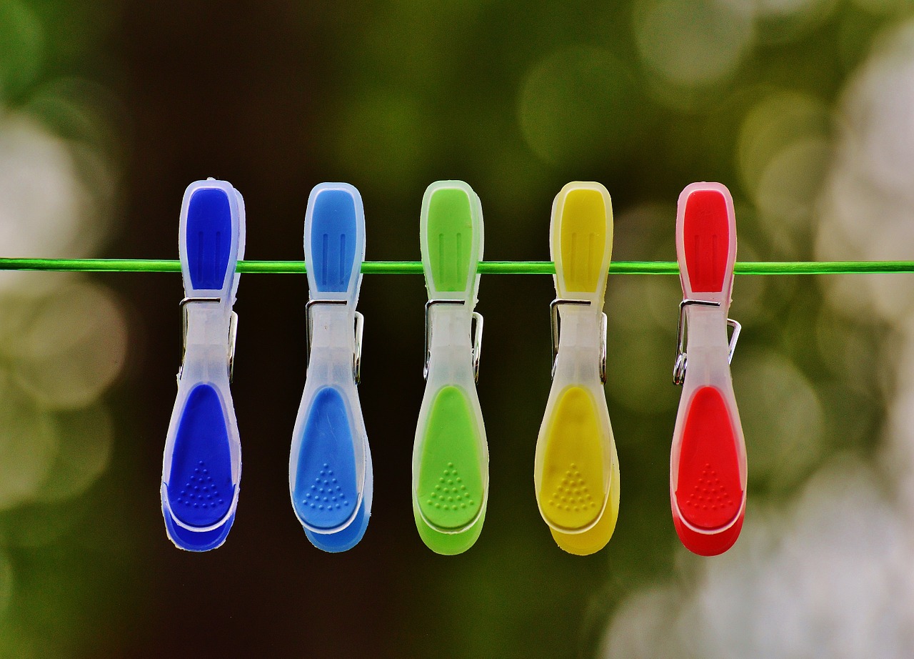 clothespins leash colorful free photo