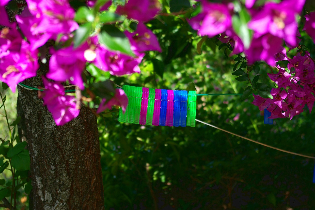 clothespins farbenspiel colorful free photo