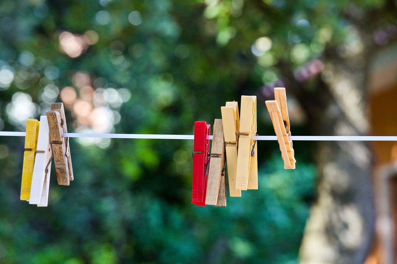 clothespins  mollete laundry  laundry free photo