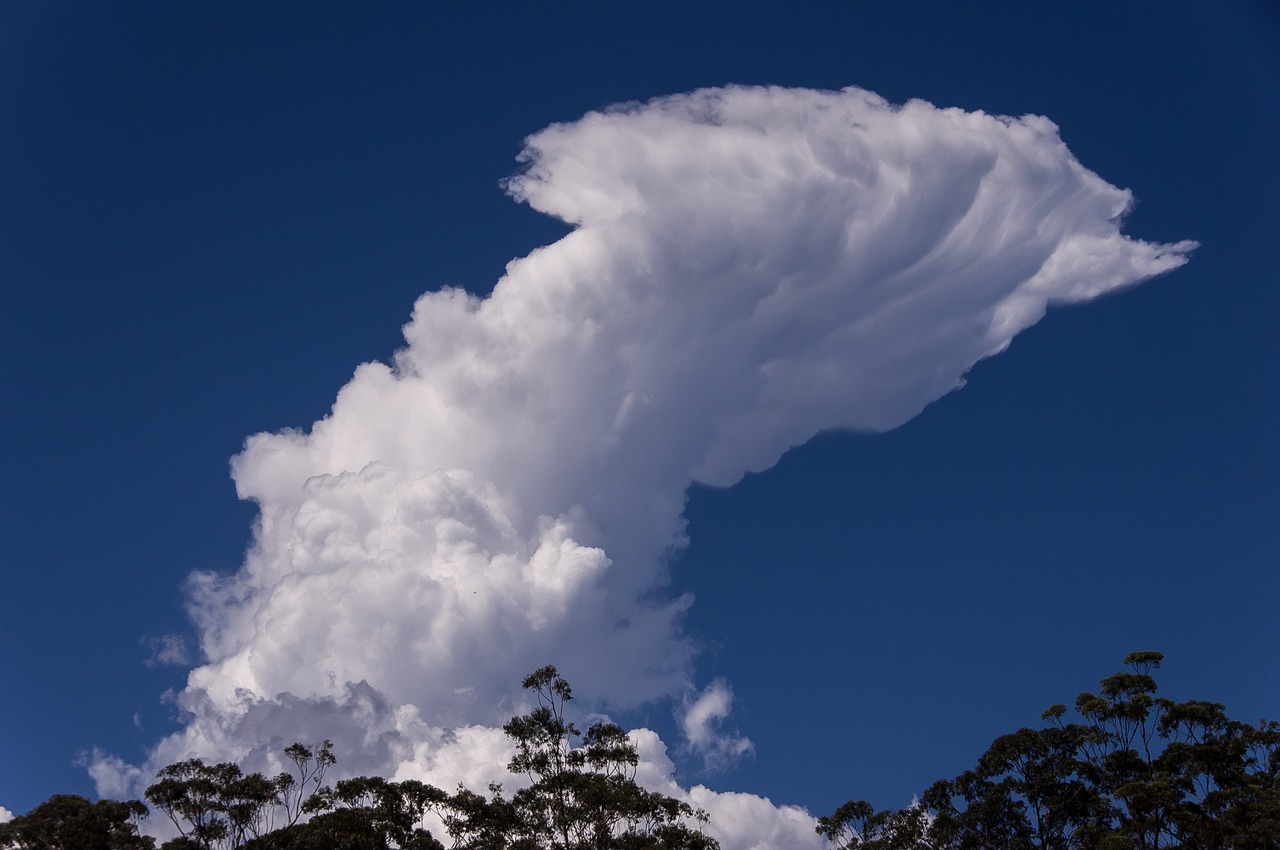 cloud white blue free photo