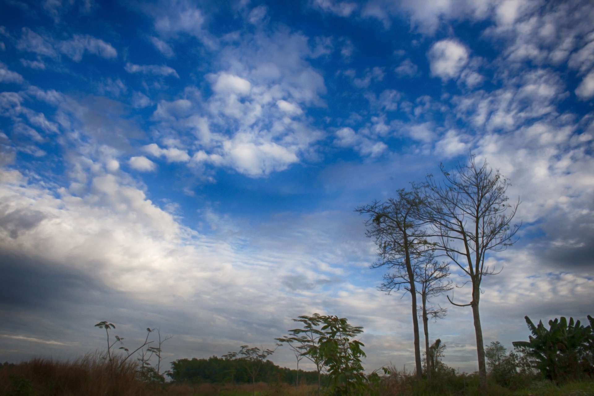 cloud sky amateurpic free photo