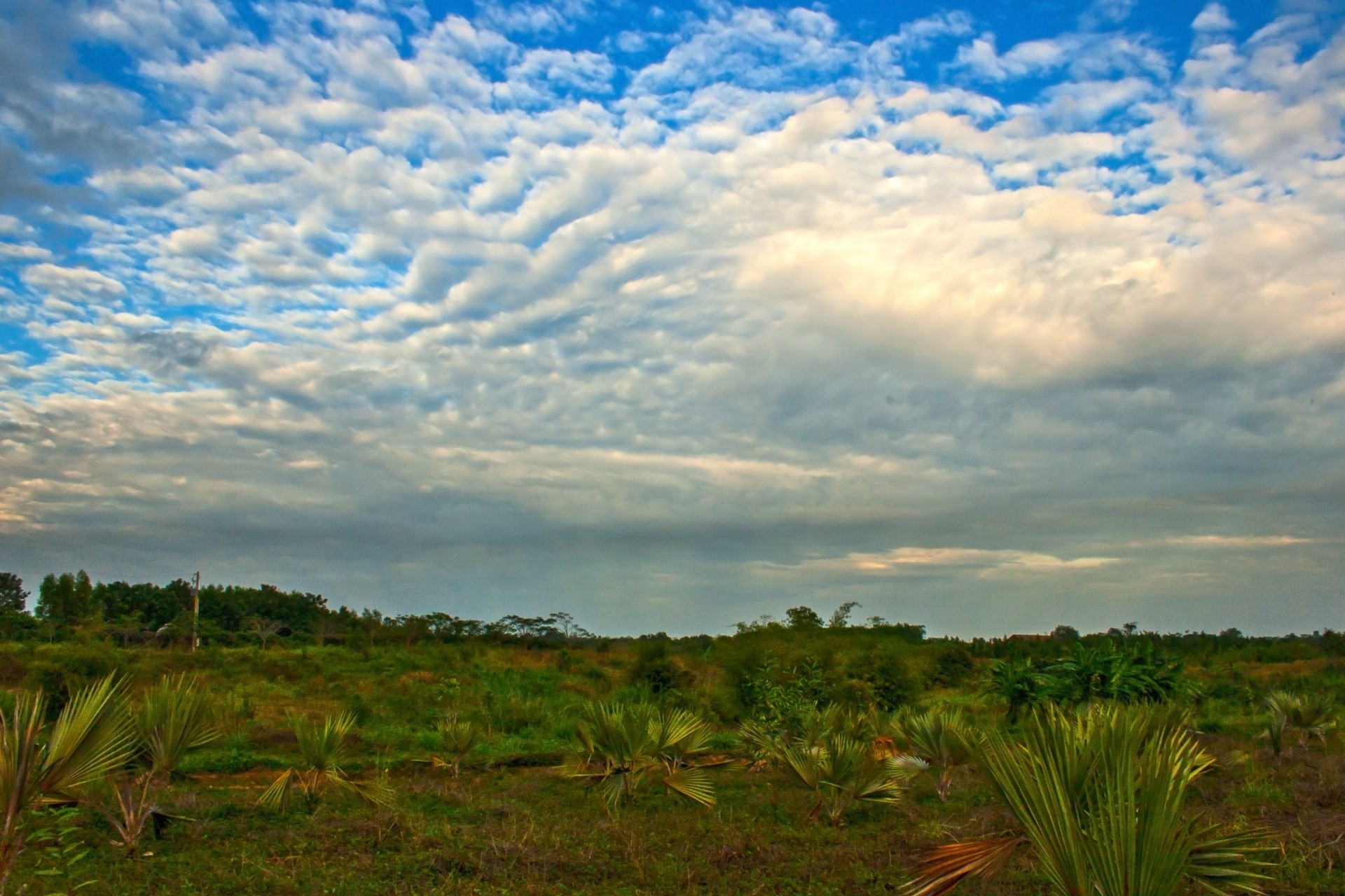 cloud sky amateurpic free photo