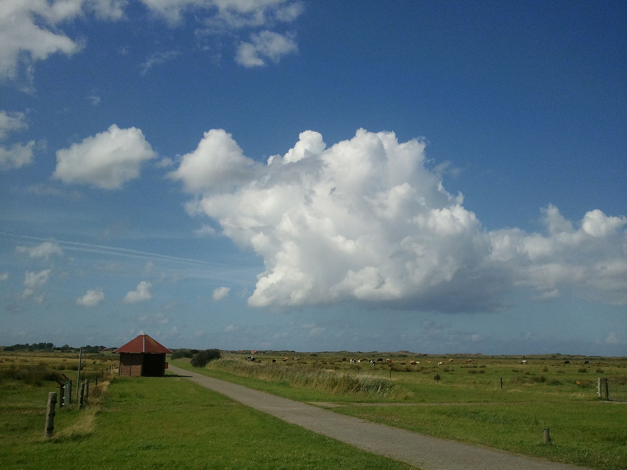 cloud sky blue free photo