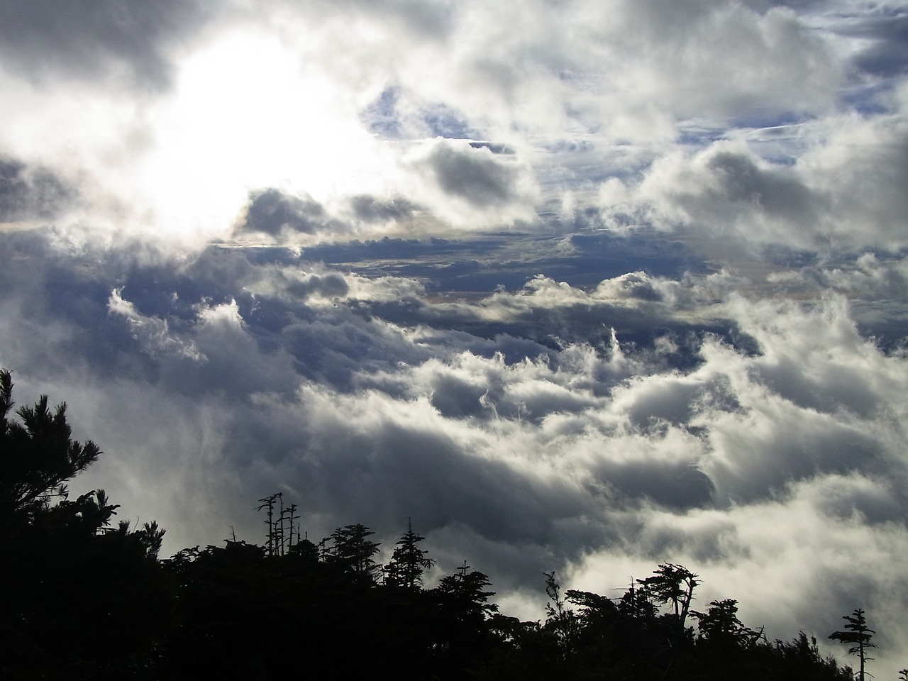 cloud sea of clouds mountain free photo