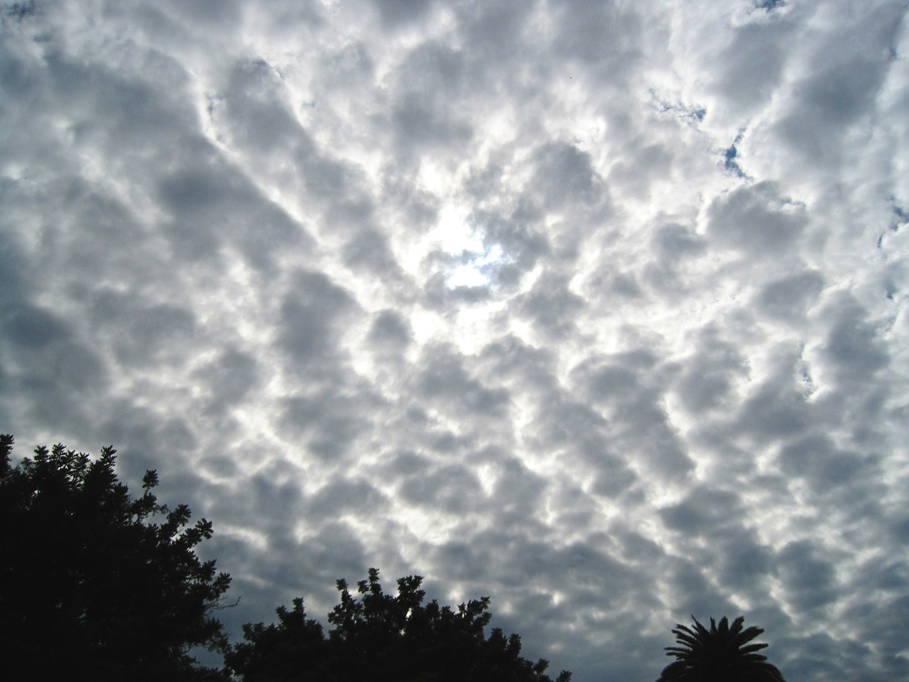 cloud honeycomb formation white free photo