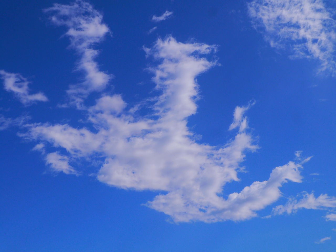 cloud sky blue sky free photo